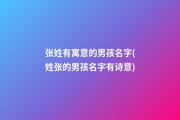 张姓有寓意的男孩名字(姓张的男孩名字有诗意)