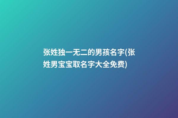张姓独一无二的男孩名字(张姓男宝宝取名字大全免费)