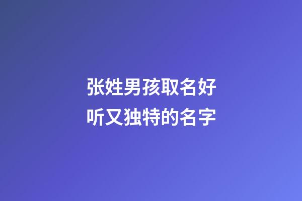 张姓男孩取名好听又独特的名字