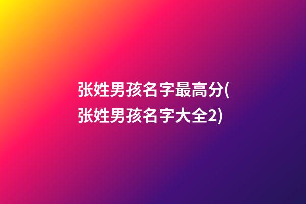 张姓男孩名字最高分(张姓男孩名字大全2)