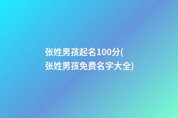 张姓男孩起名100分(张姓男孩免费名字大全)