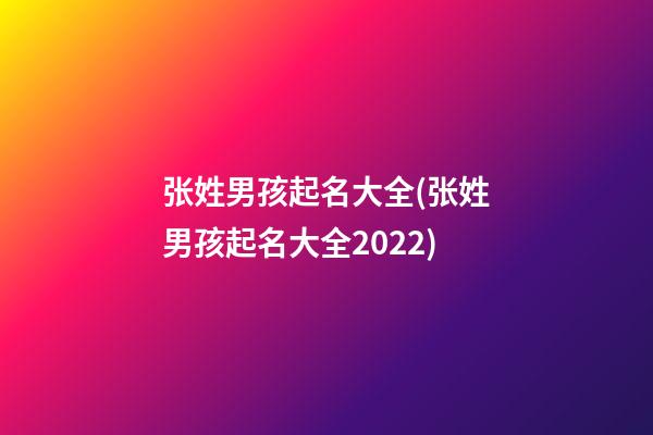 张姓男孩起名大全(张姓男孩起名大全2022)
