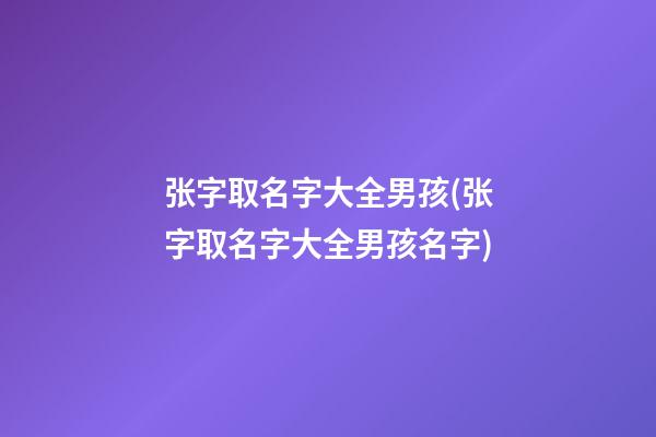 张字取名字大全男孩(张字取名字大全男孩名字)
