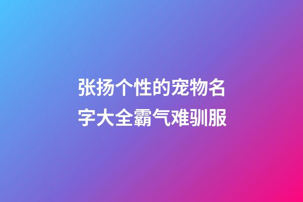 张扬个性的宠物名字大全霸气难驯服