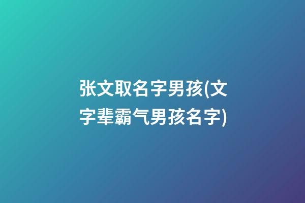 张文取名字男孩(文字辈霸气男孩名字)