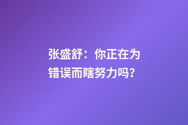 张盛舒：你正在为错误而瞎努力吗？