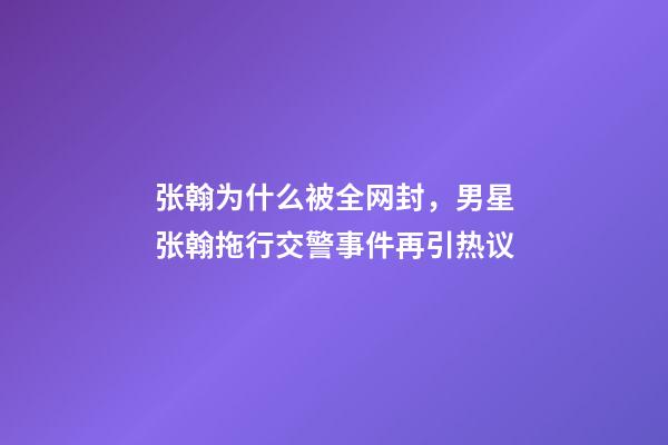 张翰为什么被全网封，男星张翰拖行交警事件再引热议-第1张-观点-玄机派