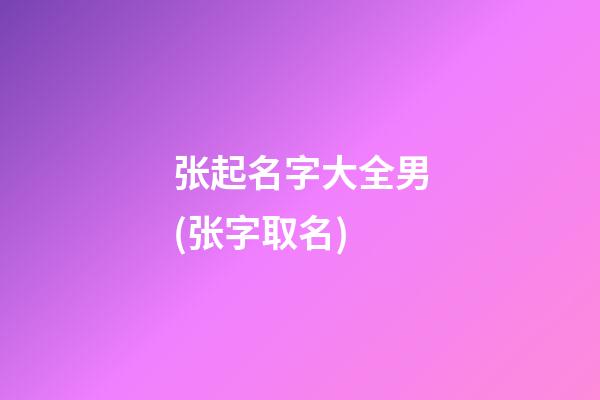 张起名字大全男(张字取名)