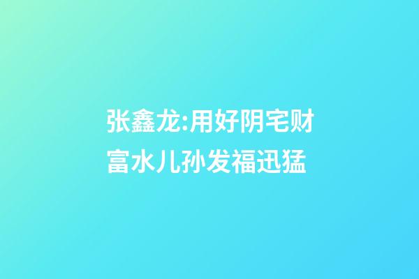 张鑫龙:用好阴宅财富水.儿孙发福迅猛