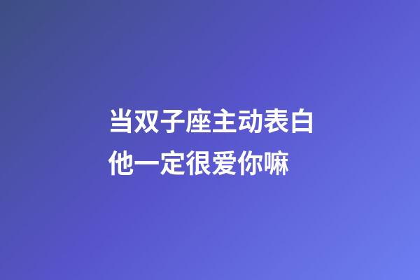当双子座主动表白他一定很爱你嘛-第1张-星座运势-玄机派