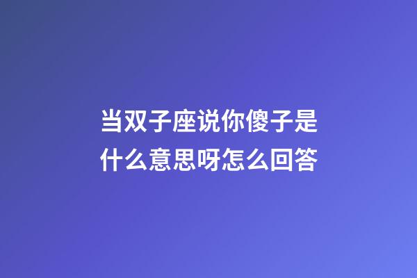 当双子座说你傻子是什么意思呀怎么回答