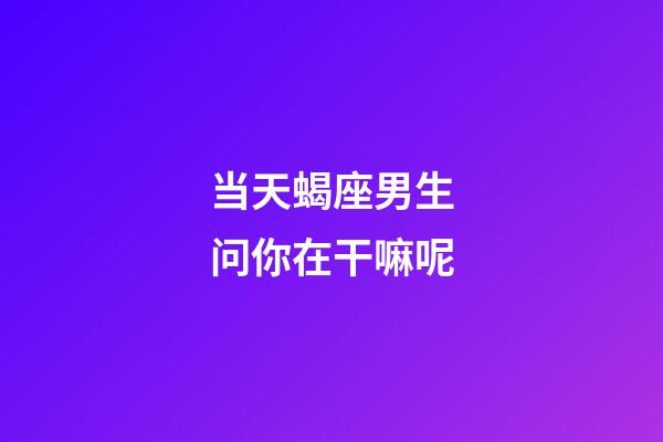 当天蝎座男生问你在干嘛呢-第1张-星座运势-玄机派