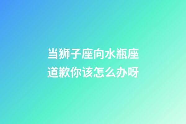 当狮子座向水瓶座道歉你该怎么办呀-第1张-星座运势-玄机派