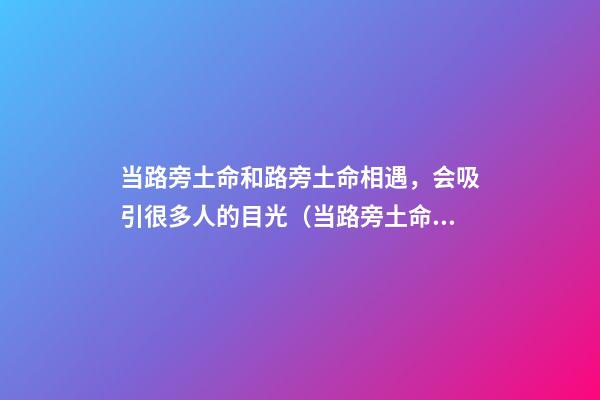 当路旁土命和路旁土命相遇，会吸引很多人的目光（当路旁土命和路旁土命相遇,会吸引很多人的目光吗）