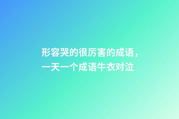 形容哭的很厉害的成语，一天一个成语牛衣对泣-第1张-观点-玄机派