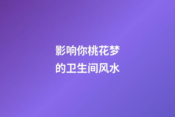 影响你桃花梦的卫生间风水