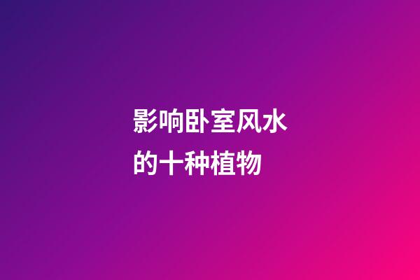 影响卧室风水的十种植物