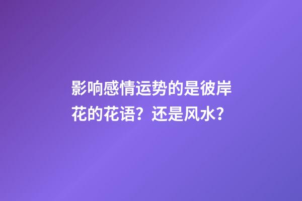 影响感情运势的是彼岸花的花语？还是风水？