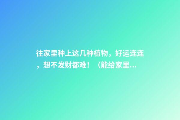 往家里种上这几种植物，好运连连，想不发财都难！（能给家里带来好运的植物）