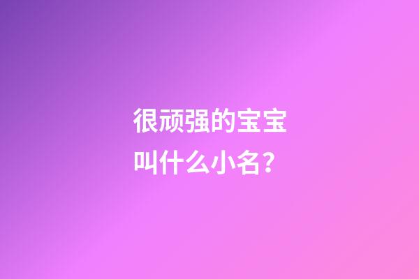 很顽强的宝宝叫什么小名？