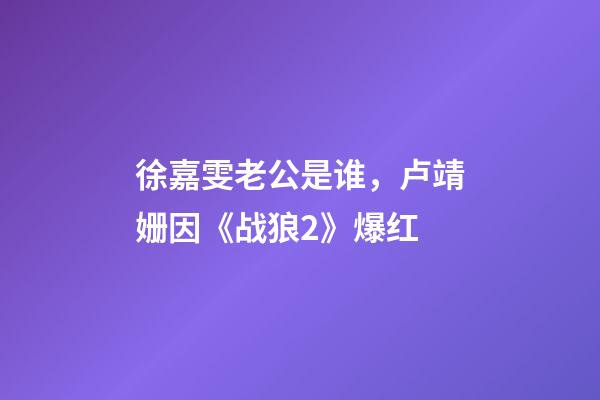 徐嘉雯老公是谁，卢靖姗因《战狼2》爆红-第1张-观点-玄机派