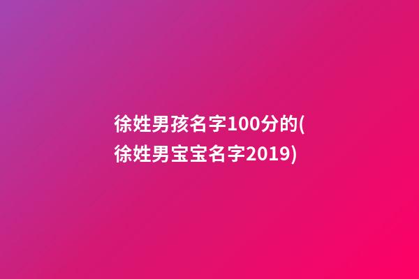徐姓男孩名字100分的(徐姓男宝宝名字2019)