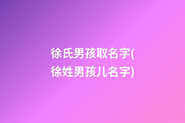 徐氏男孩取名字(徐姓男孩儿名字)