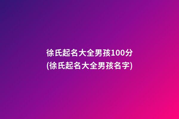 徐氏起名大全男孩100分(徐氏起名大全男孩名字)