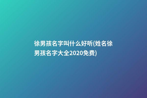 徐男孩名字叫什么好听(姓名徐男孩名字大全2020免费)