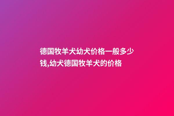 德国牧羊犬幼犬价格一般多少钱,幼犬德国牧羊犬的价格-第1张-观点-玄机派