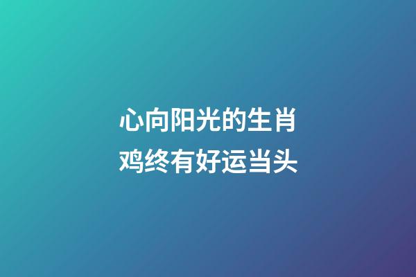 心向阳光的生肖鸡终有好运当头