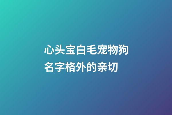 心头宝白毛宠物狗名字格外的亲切