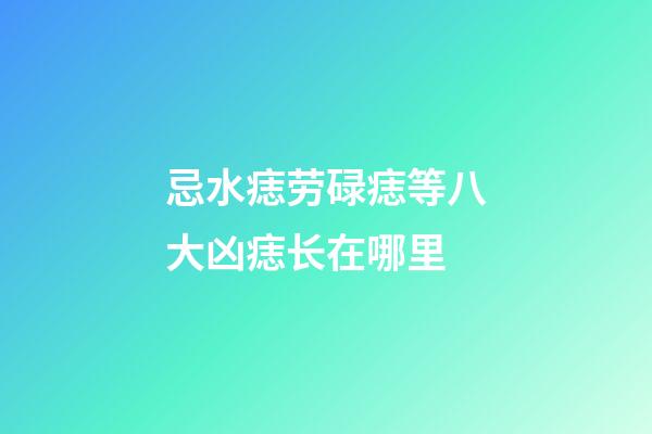 忌水痣劳碌痣等八大凶痣长在哪里