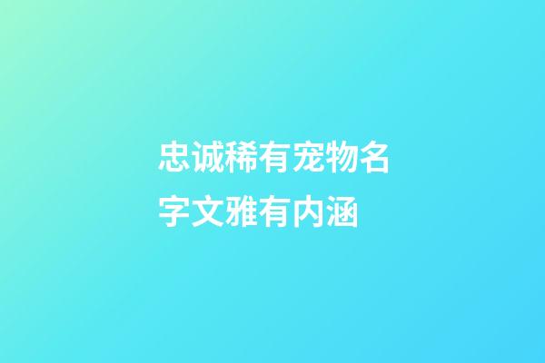 忠诚稀有宠物名字文雅有内涵