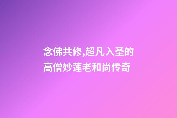 念佛共修,超凡入圣的高僧妙莲老和尚传奇-第1张-观点-玄机派