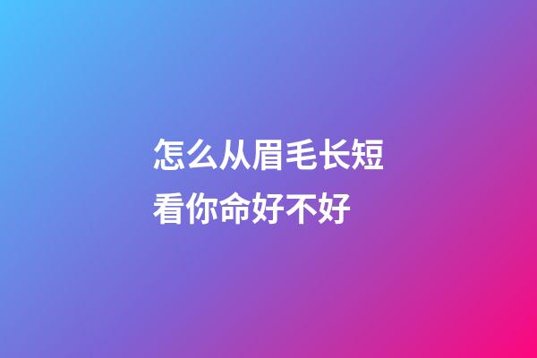 怎么从眉毛长短看你命好不好