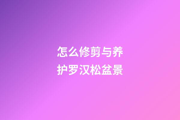 怎么修剪与养护罗汉松盆景