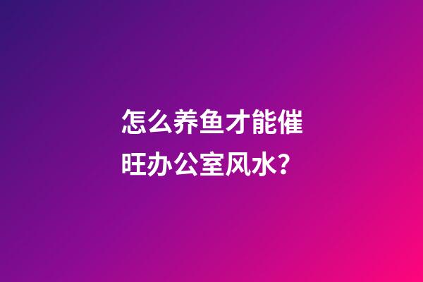 怎么养鱼才能催旺办公室风水？