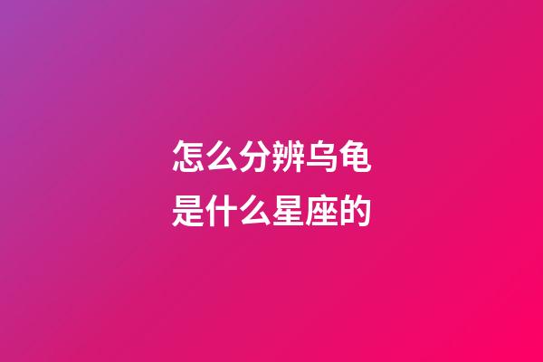 怎么分辨乌龟是什么星座的-第1张-星座运势-玄机派