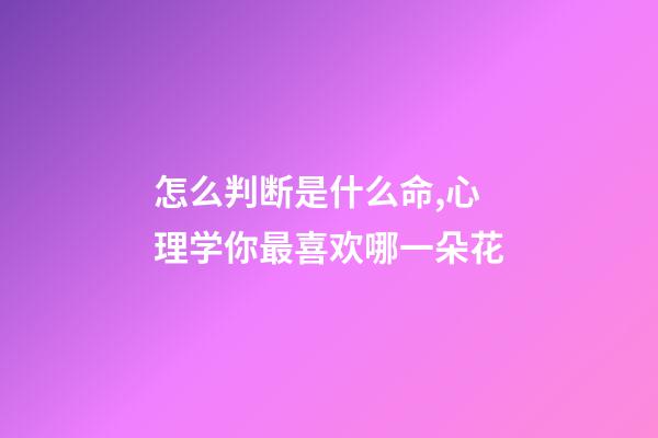 怎么判断是什么命,心理学你最喜欢哪一朵花-第1张-观点-玄机派