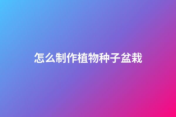 怎么制作植物种子盆栽