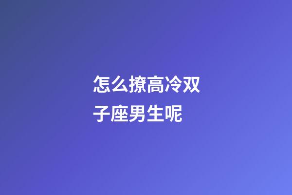 怎么撩高冷双子座男生呢-第1张-星座运势-玄机派