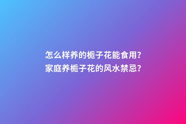 怎么样养的栀子花能食用？家庭养栀子花的风水禁忌？