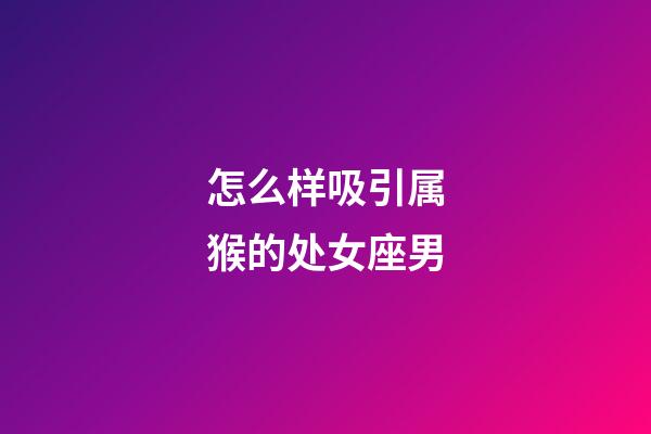 怎么样吸引属猴的处女座男-第1张-星座运势-玄机派