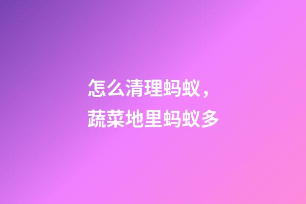 怎么清理蚂蚁，蔬菜地里蚂蚁多-第1张-观点-玄机派