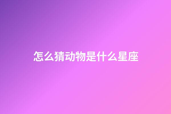 怎么猜动物是什么星座-第1张-星座运势-玄机派