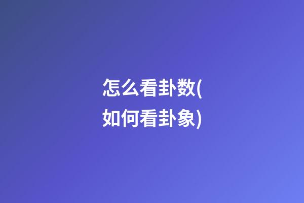 怎么看卦数(如何看卦象)