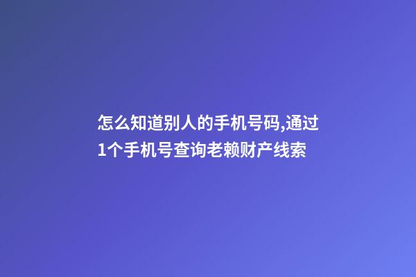 怎么知道别人的手机号码,通过1个手机号查询老赖财产线索-第1张-观点-玄机派