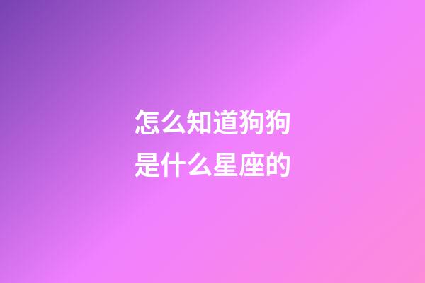 怎么知道狗狗是什么星座的-第1张-星座运势-玄机派