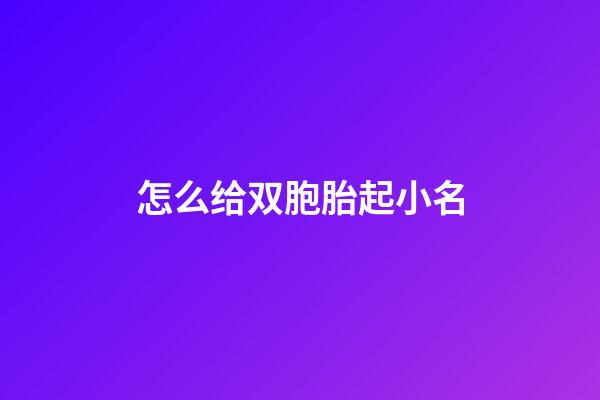 怎么给双胞胎起小名(怎么给双胞胎起名字)-第1张-宝宝起名-玄机派